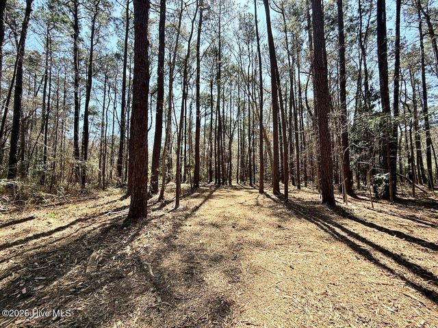 0 Lot 1 Creek Place Road, Arapahoe, NC 28510