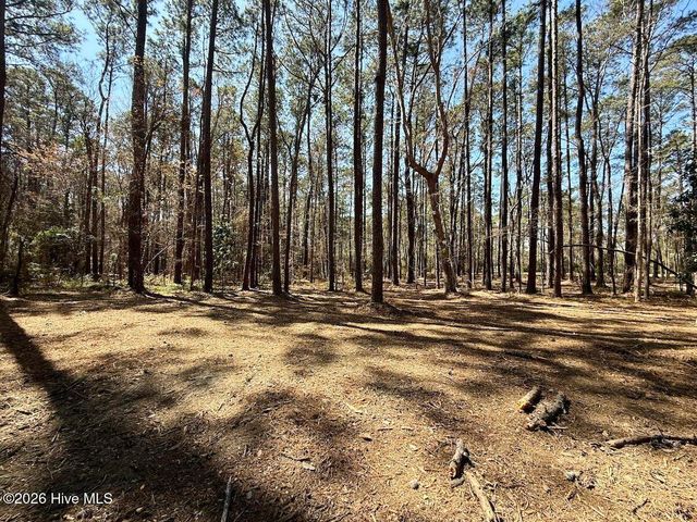 0 Lot 1 Creek Place Road, Arapahoe, NC 28510