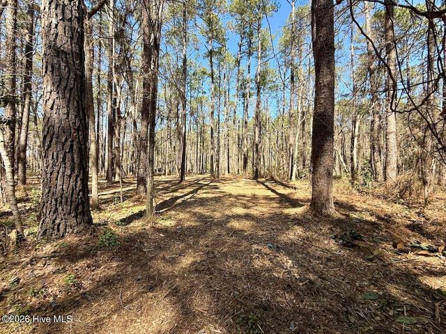 0 Lot 1 Creek Place Road, Arapahoe, NC 28510