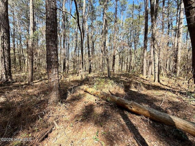 0 Lot 1 Creek Place Road, Arapahoe, NC 28510