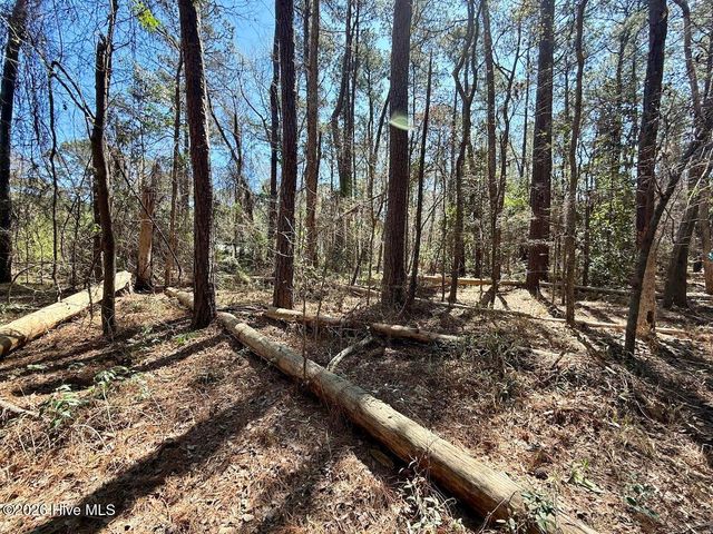 0 Lot 1 Creek Place Road, Arapahoe, NC 28510