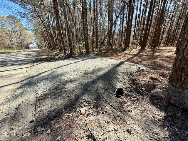 0 Lot 1 Creek Place Road, Arapahoe, NC 28510