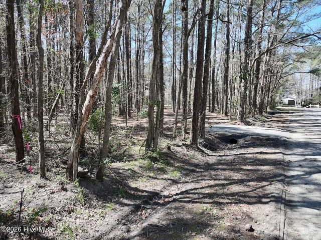 0 Lot 1 Creek Place Road, Arapahoe, NC 28510