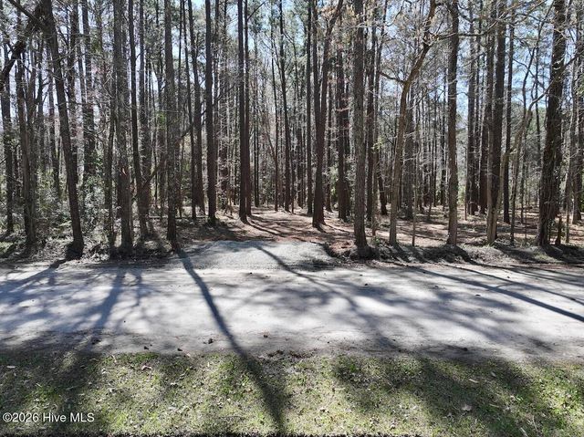 0 Lot 1 Creek Place Road, Arapahoe, NC 28510