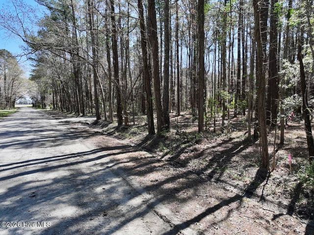 0 Lot 1 Creek Place Road, Arapahoe, NC 28510