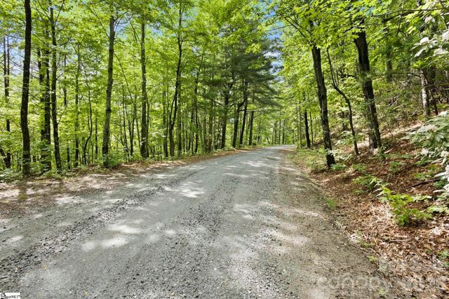 430 N Lakeview Drive, Tryon, NC 28773