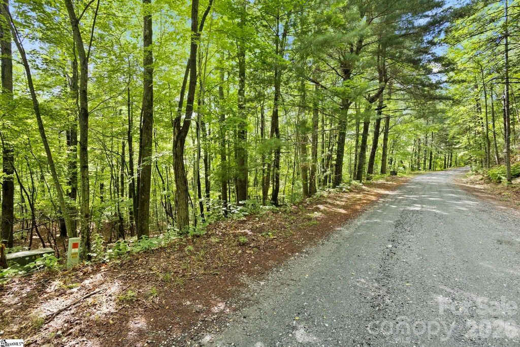 430 N Lakeview Drive, Tryon, NC 28773