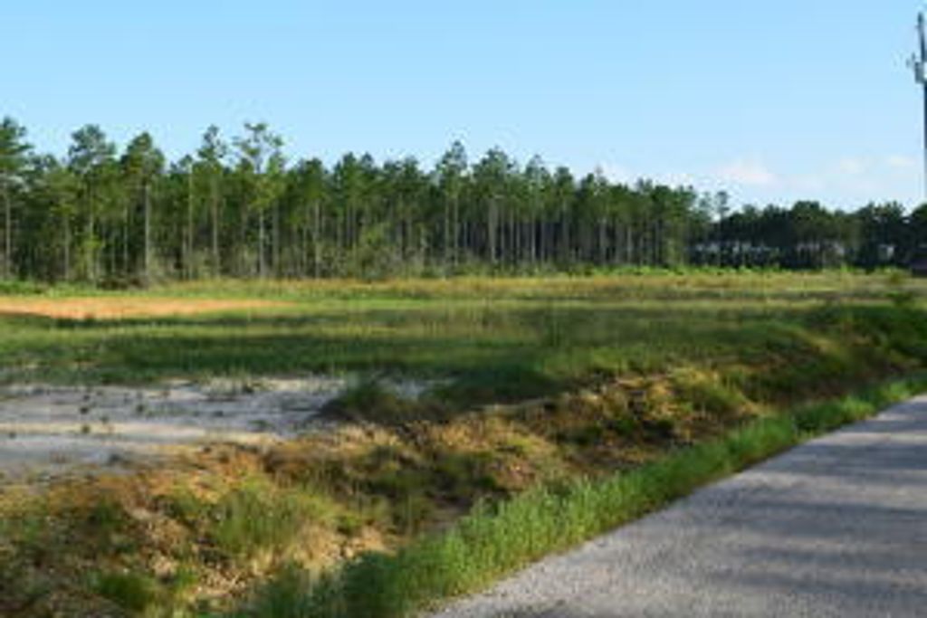 Goodeaux Rd. Lot 7, Longville, LA 70652