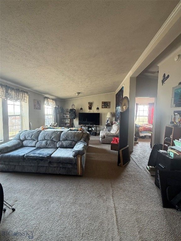 95 Chicken Creek Lane, Livingston, MT 59047 photo 5
