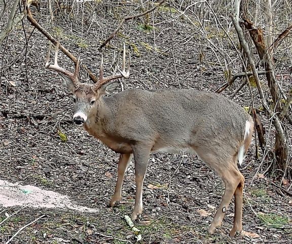 49497 Great Lake Road, St Clairsville, OH 43950