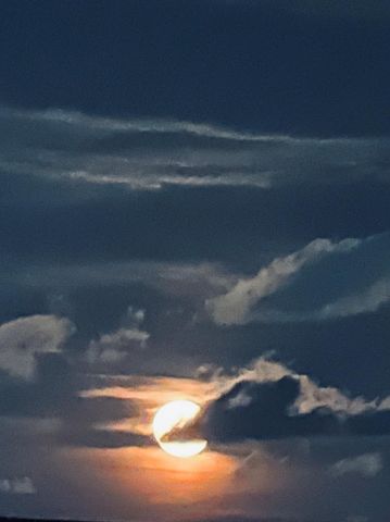 518 Paradise Drive, Tiki Island, TX 77554