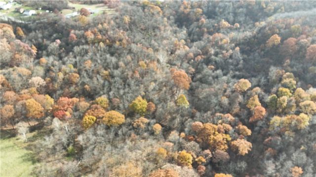 199 Bellbridge Rd, Lincoln Boro, PA 15037