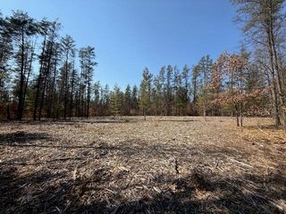 5209 S Nelson Road, Idlewild, MI 49642
