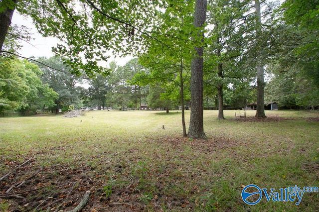 52 N Timber Gap Circle, Hartselle, AL 35640
