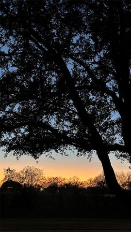 2121 Settlers Park LOOP, Round Rock, TX 78665