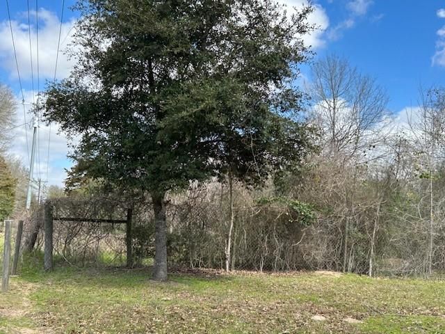 Lot 8 25th Street, Hempstead, TX 77445