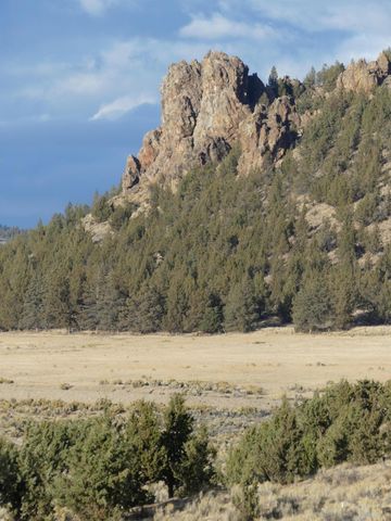 1446 NE Whistle Way, Prineville, OR 97754