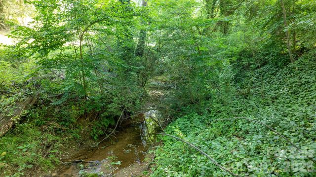 216 Davis Drive, Morganton, NC 28655