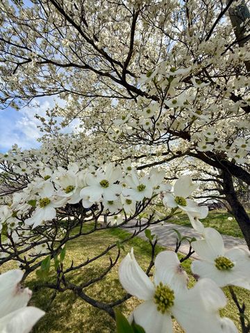 1716 Liberty Road, Eubank, KY 42567