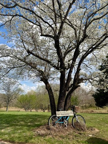 1716 Liberty Road, Eubank, KY 42567