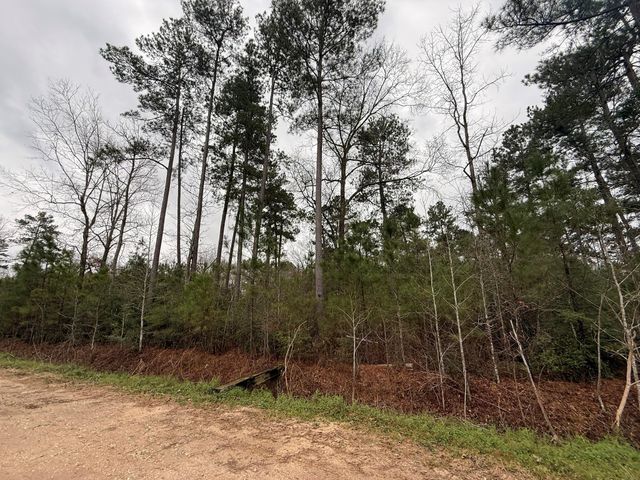 0 Shaffer Road, Cleveland, TX 77327