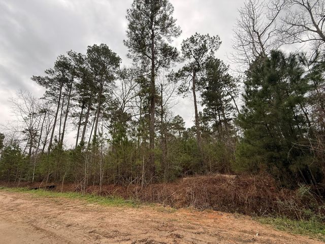 0 Shaffer Road, Cleveland, TX 77327