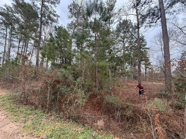 0 Shaffer Road, Cleveland, TX 77327