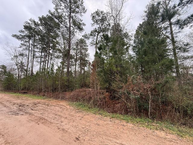 0 Shaffer Road, Cleveland, TX 77327