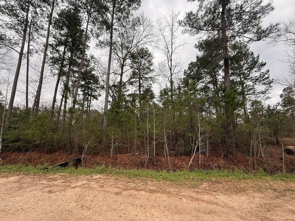0 Shaffer Road, Cleveland, TX 77327