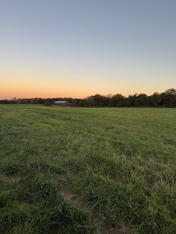 0 Woody Atkinson Road, Woodburn, KY 42170