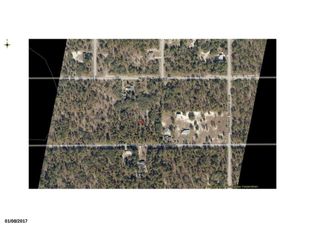 0000 SW Nautilus, Dunnellon, FL 34431