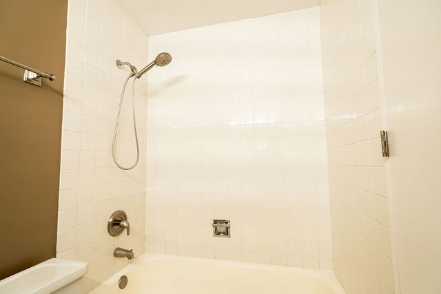 233 E Erie Street 1309, Chicago, IL 60611