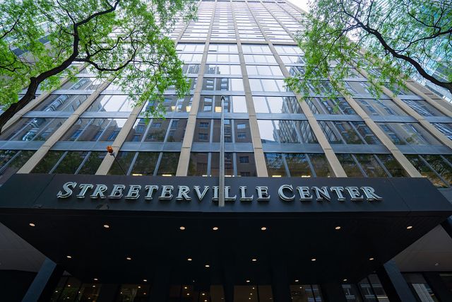 233 E Erie Street 1309, Chicago, IL 60611