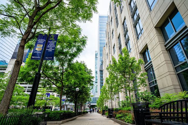 233 E Erie Street 1309, Chicago, IL 60611