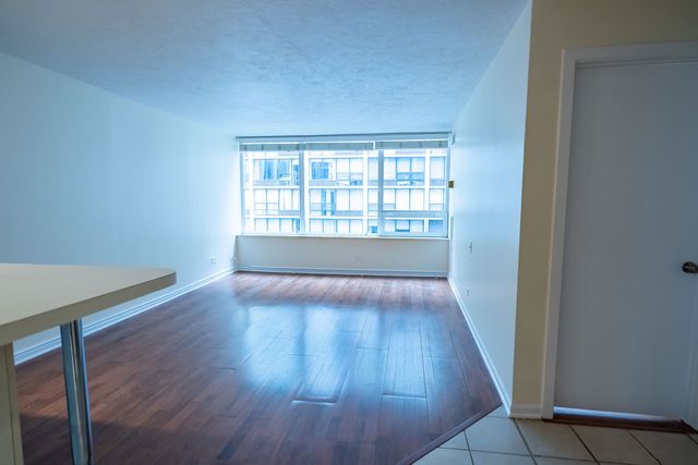 233 E Erie Street 1309, Chicago, IL 60611
