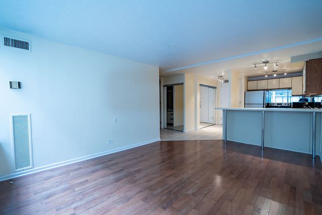 233 E Erie Street 1309, Chicago, IL 60611