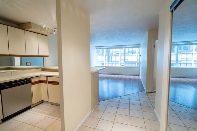 233 E Erie Street 1309, Chicago, IL 60611