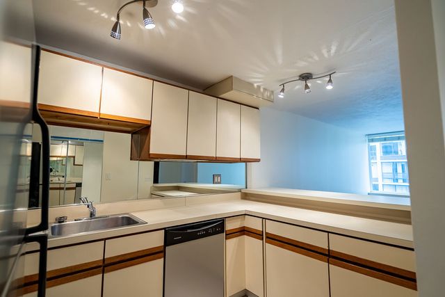 233 E Erie Street 1309, Chicago, IL 60611