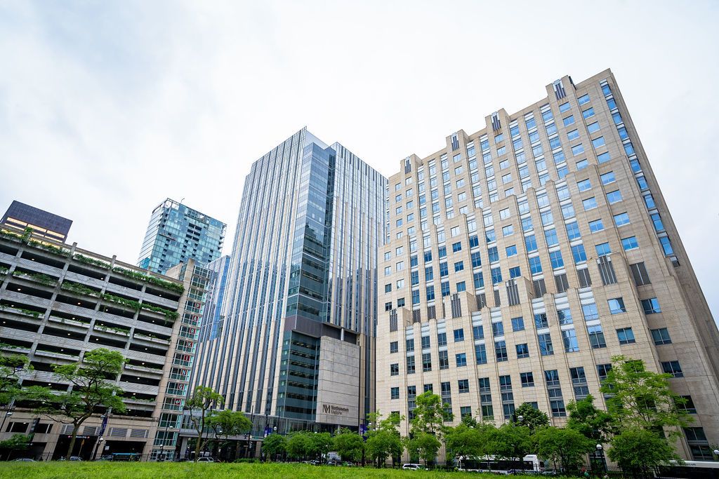 233 E Erie Street 1309, Chicago, IL 60611