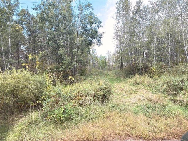 TBD 50th Street, Frederic, WI 54837