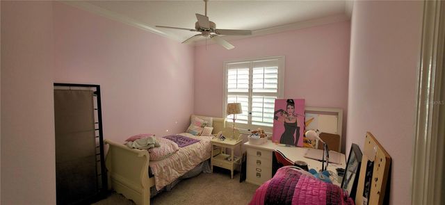 6041 CATLIN DRIVE, Tampa, FL 33647