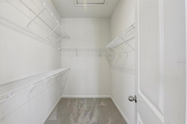 12934 SATIN LILY DRIVE, Riverview, FL 33579