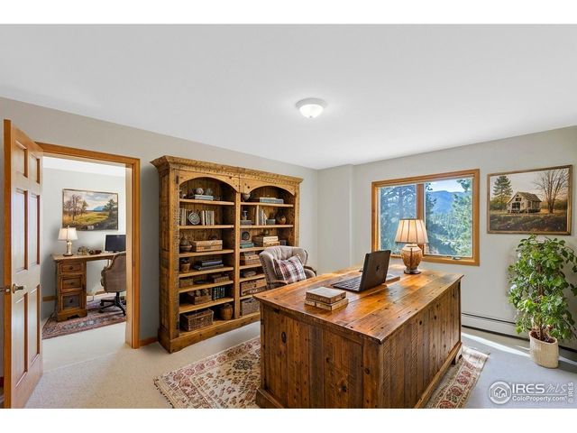 272 Solomon Dr, Estes Park, CO 80517