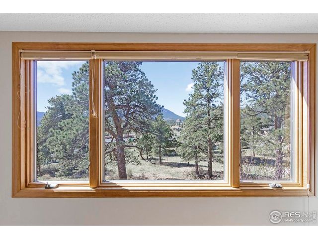 272 Solomon Dr, Estes Park, CO 80517