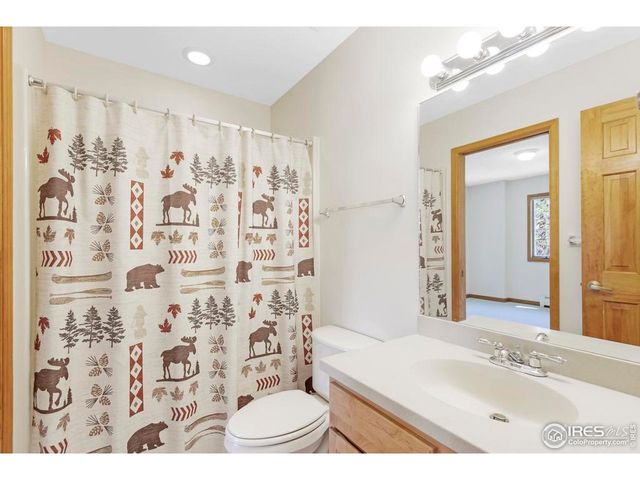 272 Solomon Dr, Estes Park, CO 80517