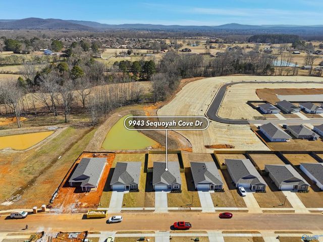 9943 Sequoyah Cove Drive, Owens Cross Roads, AL 35763