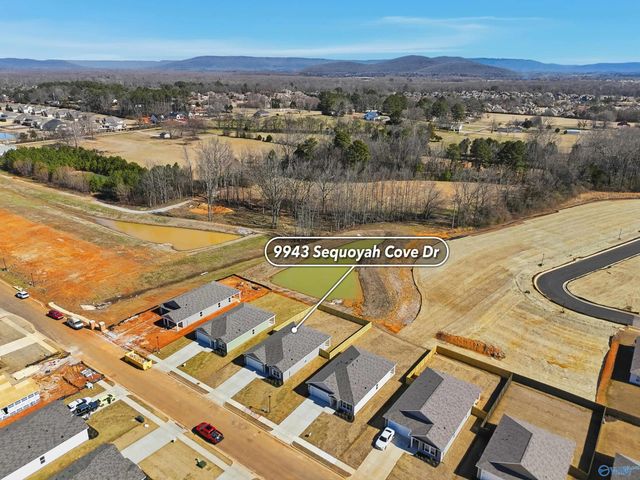 9943 Sequoyah Cove Drive, Owens Cross Roads, AL 35763