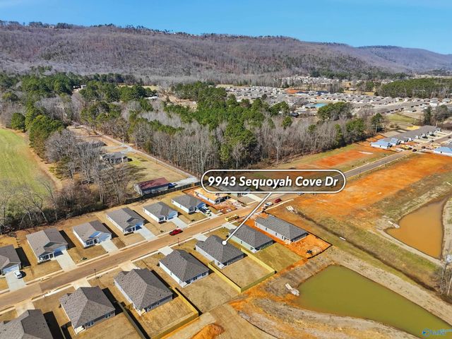 9943 Sequoyah Cove Drive, Owens Cross Roads, AL 35763