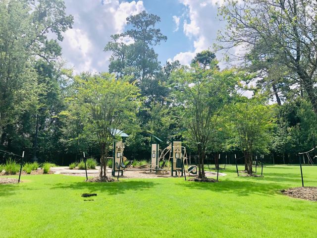 29021 Cherrywood Lane, Shenandoah, TX 77381