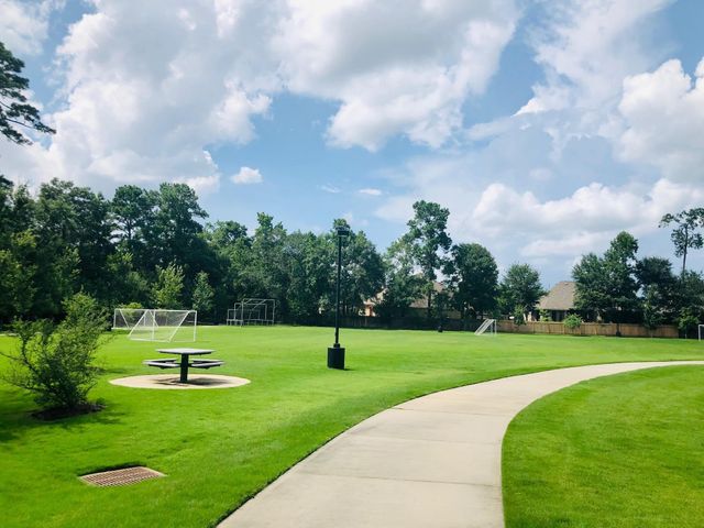 29021 Cherrywood Lane, Shenandoah, TX 77381